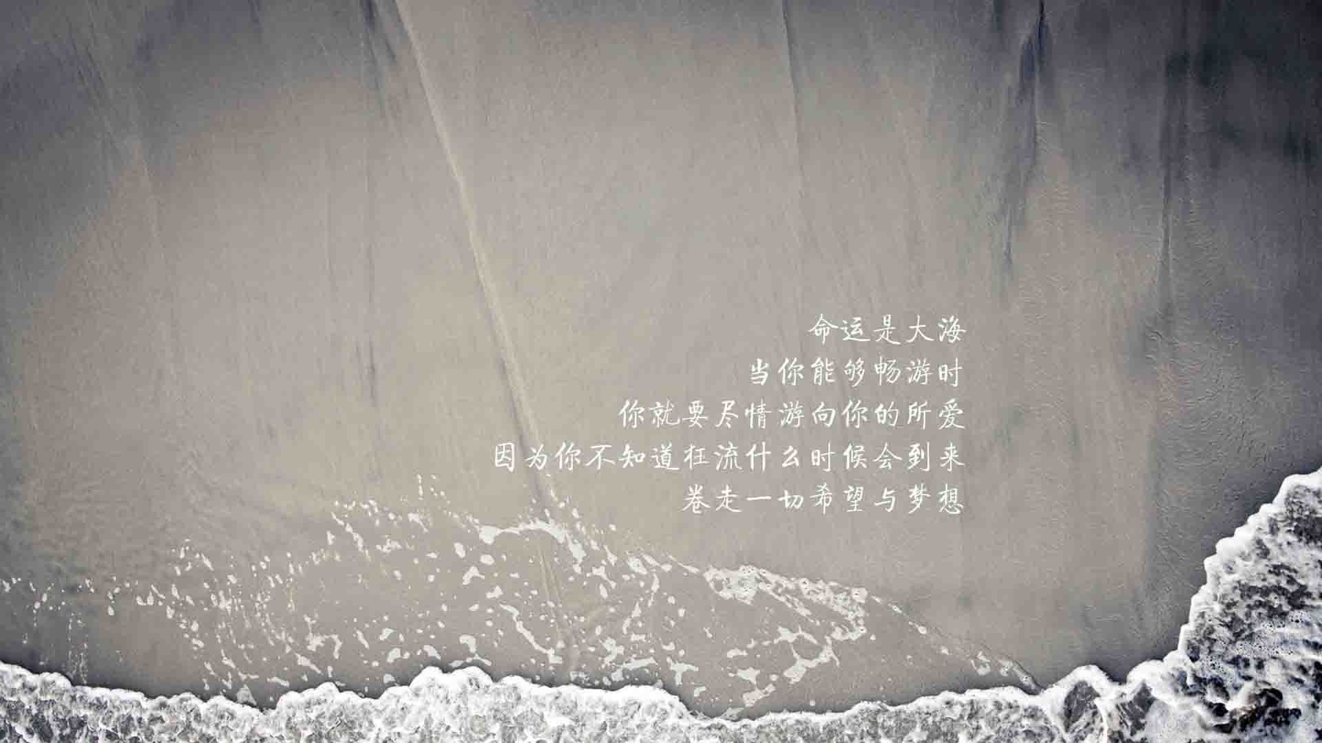 中国篮球联赛球队数据分析与战术应用，中国篮球数据网