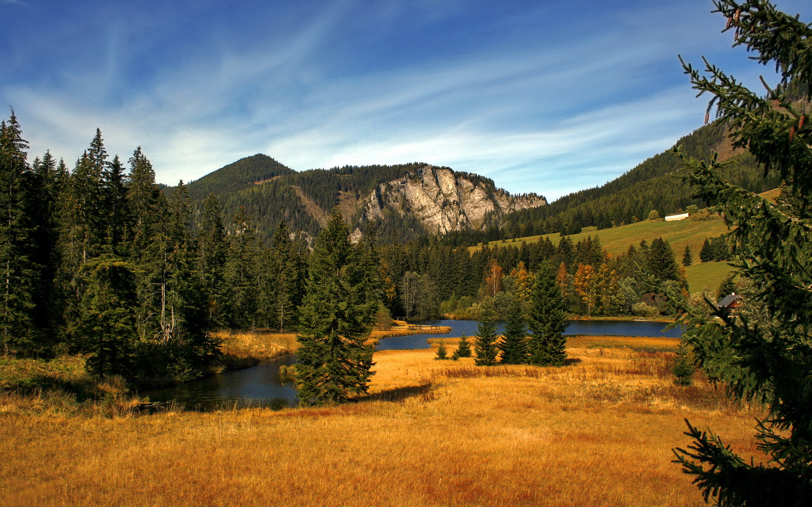 运动员心理辅导项目开展,运动员心理技能训练