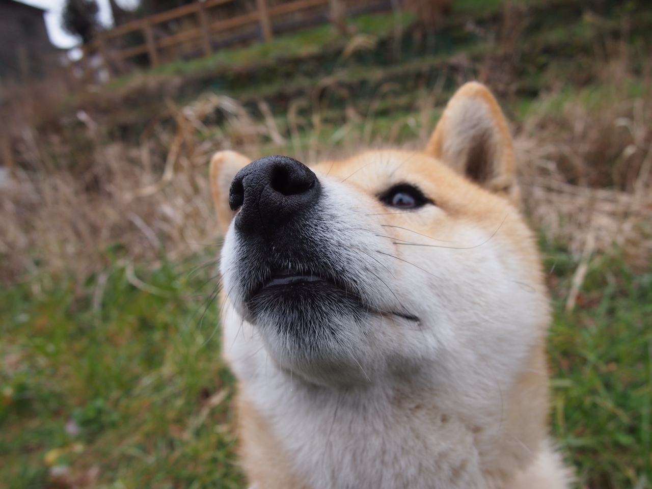 “水上救生:三叉湖游泳馆赛场考验运动员心理与身体极限”