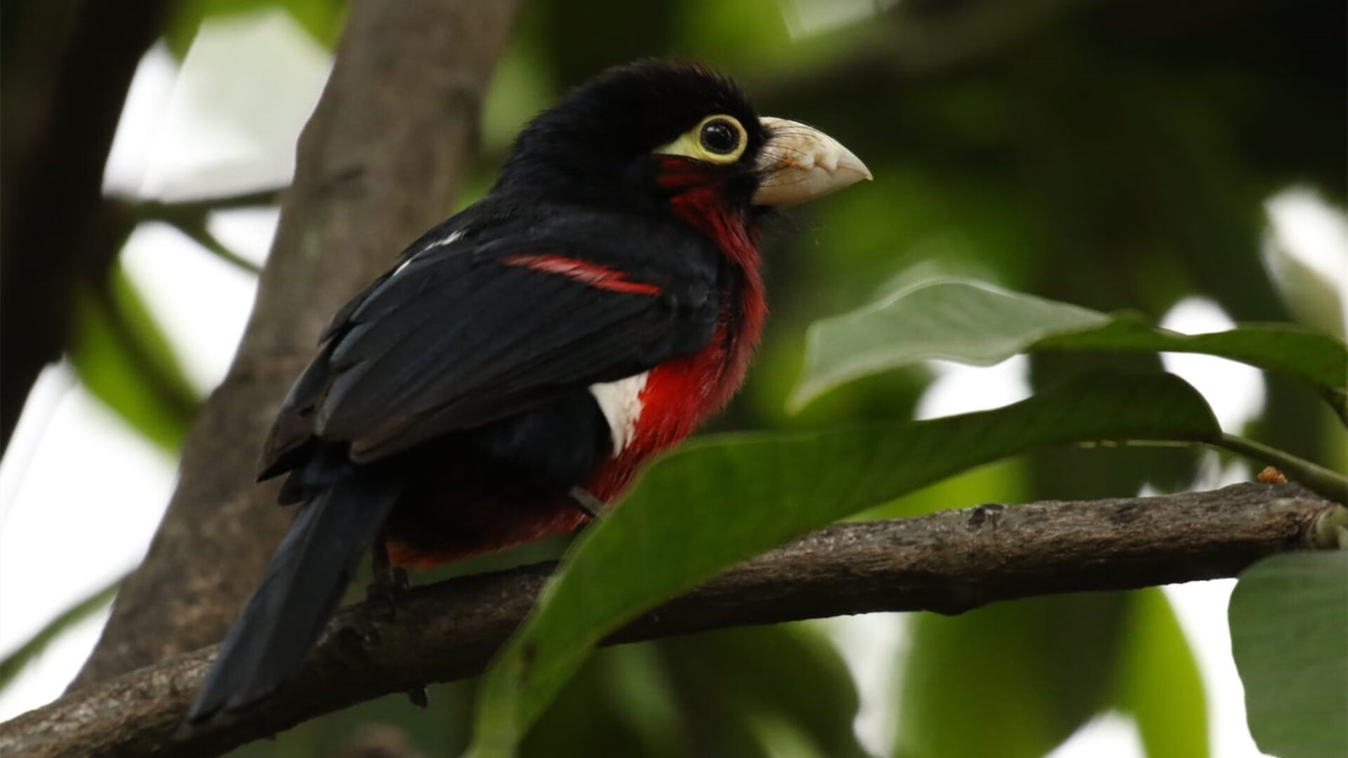 中国男篮小组赛发挥稳定提升信心,中国男篮落选赛小组