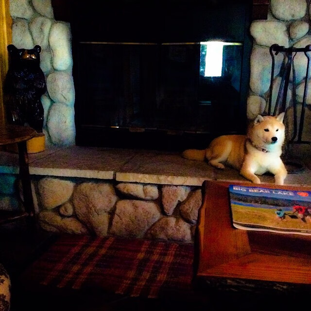 中国男篮遭遇伤病潮 替补阵容火线救援,中国,男篮