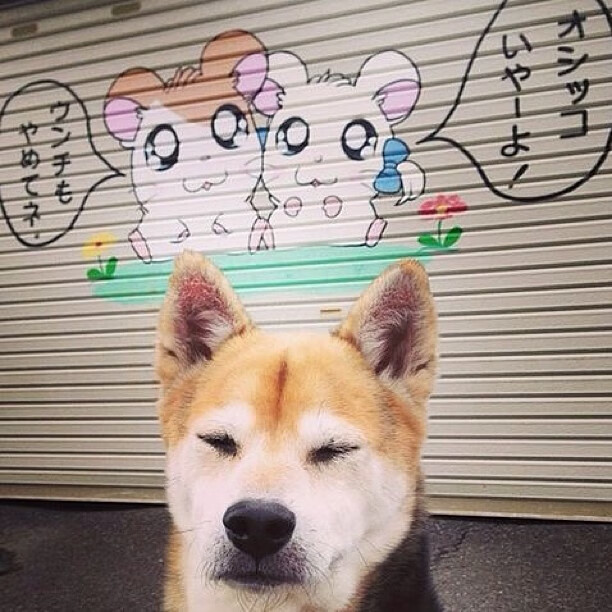 中超联赛中国女足逆袭 球员拼劲十足,2020年中超女足