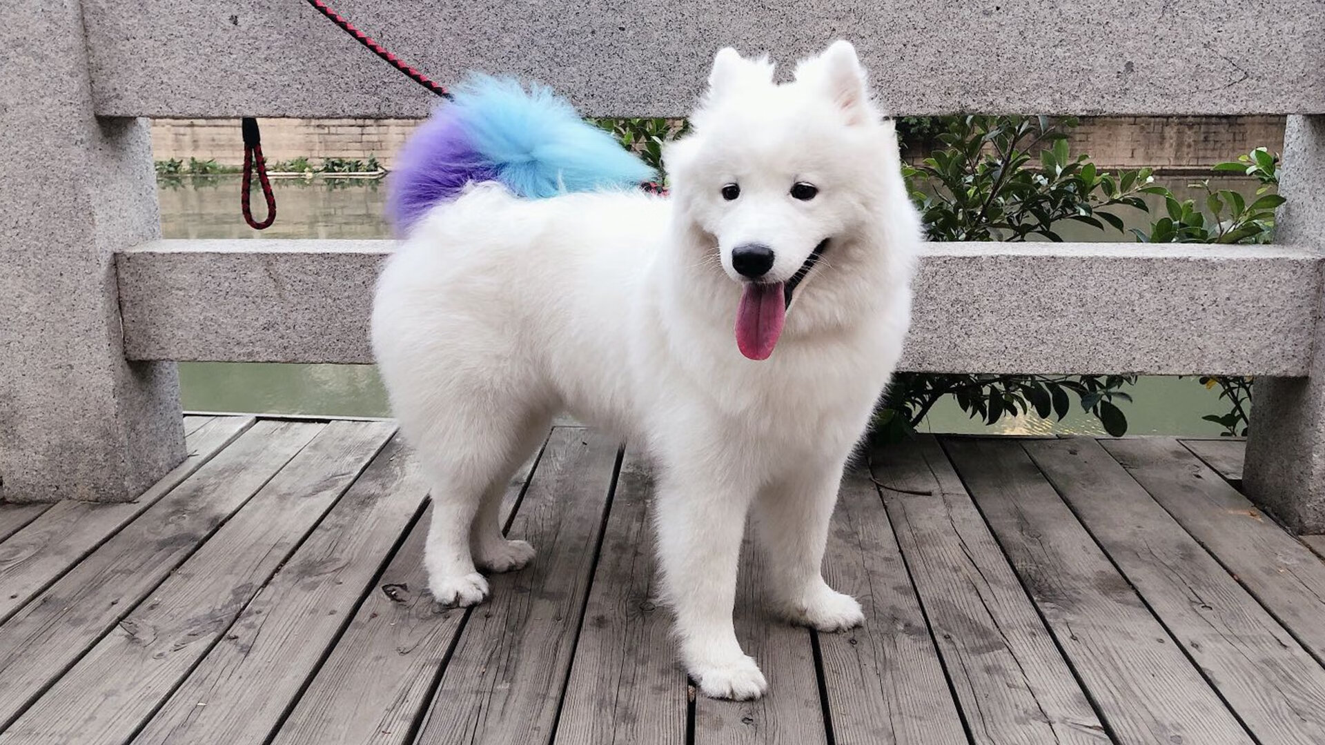 体育新闻摄影作品展捕捉精彩竞技瞬间,体育新闻摄影教程