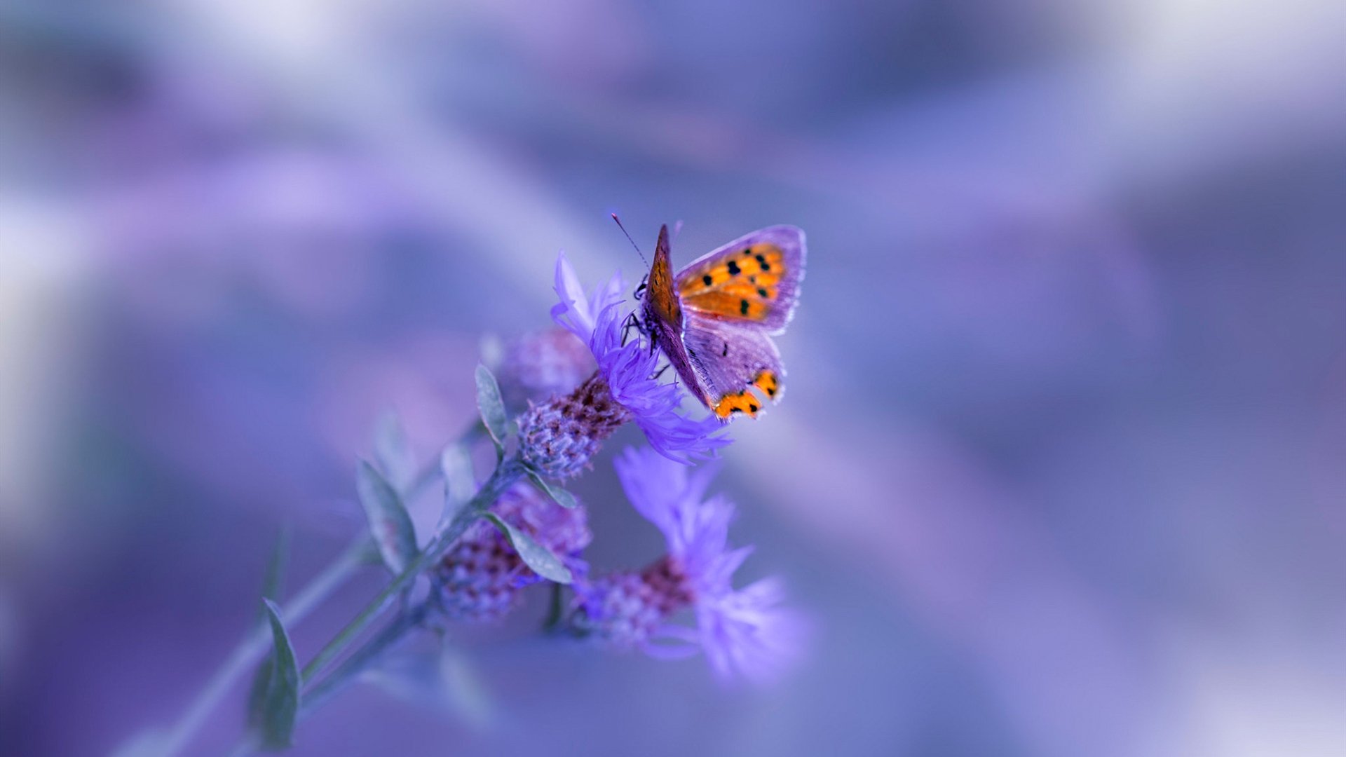 利物浦后场出球节奏加快助推反击速度,利物浦主力后卫