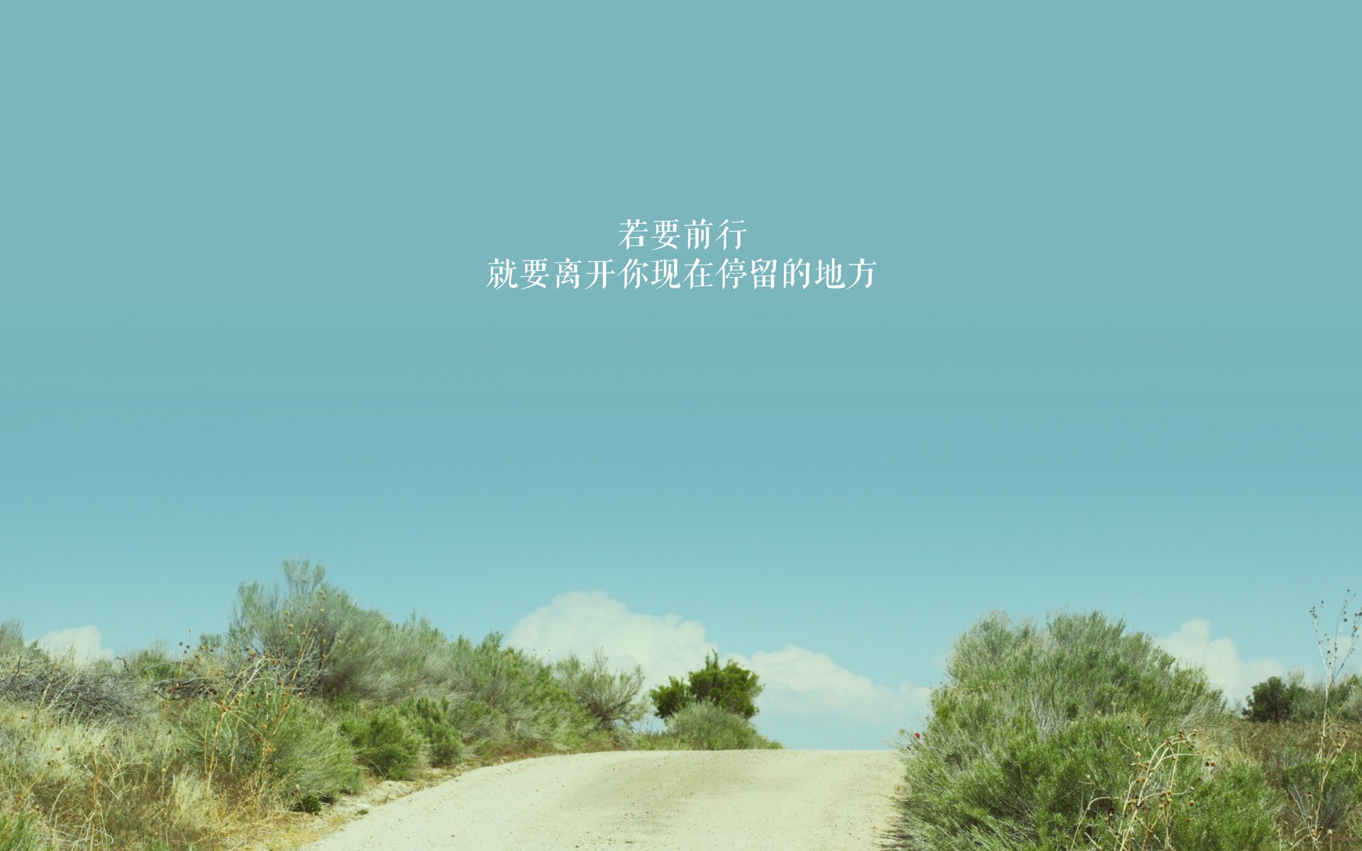 世界杯赛场的环保可持续措施,世界杯环保基金