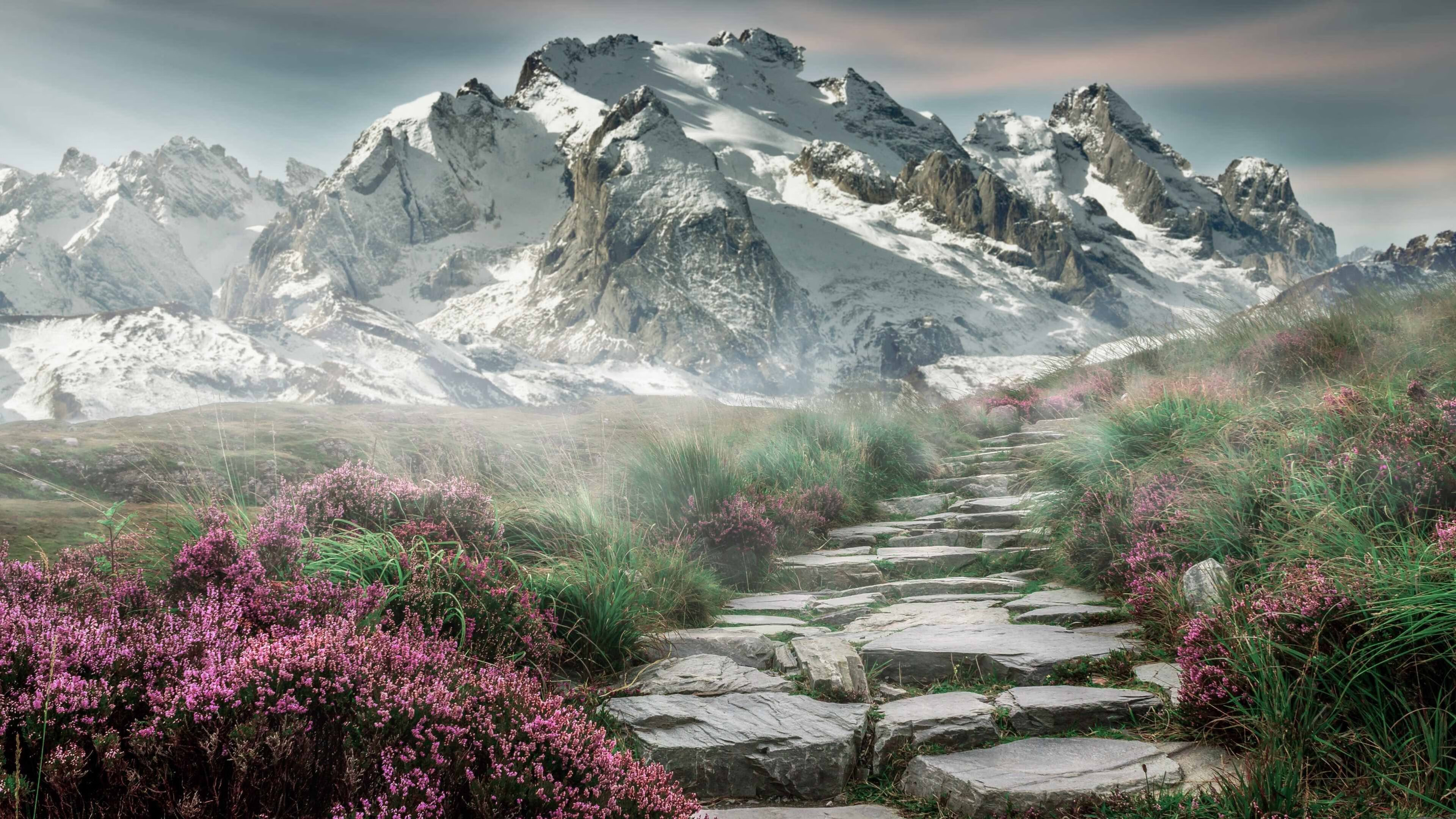 华体会在线下载-体育新闻中心发布全民健身线上竞赛平台试运行公告，全民健身日线上活动