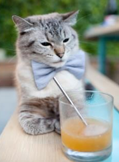 卡普尔展现出高水平的球场意识和全能技巧,成为袋鼠队核心,卡普尔ms