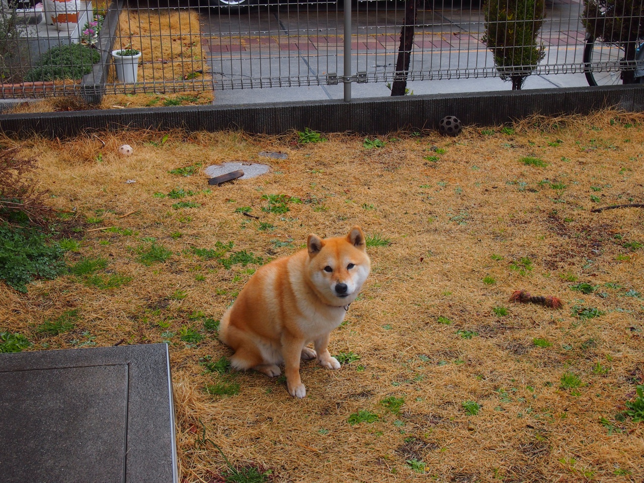 吉尔吉斯斯坦男篮在亚洲预赛中拼搏,追逐突破