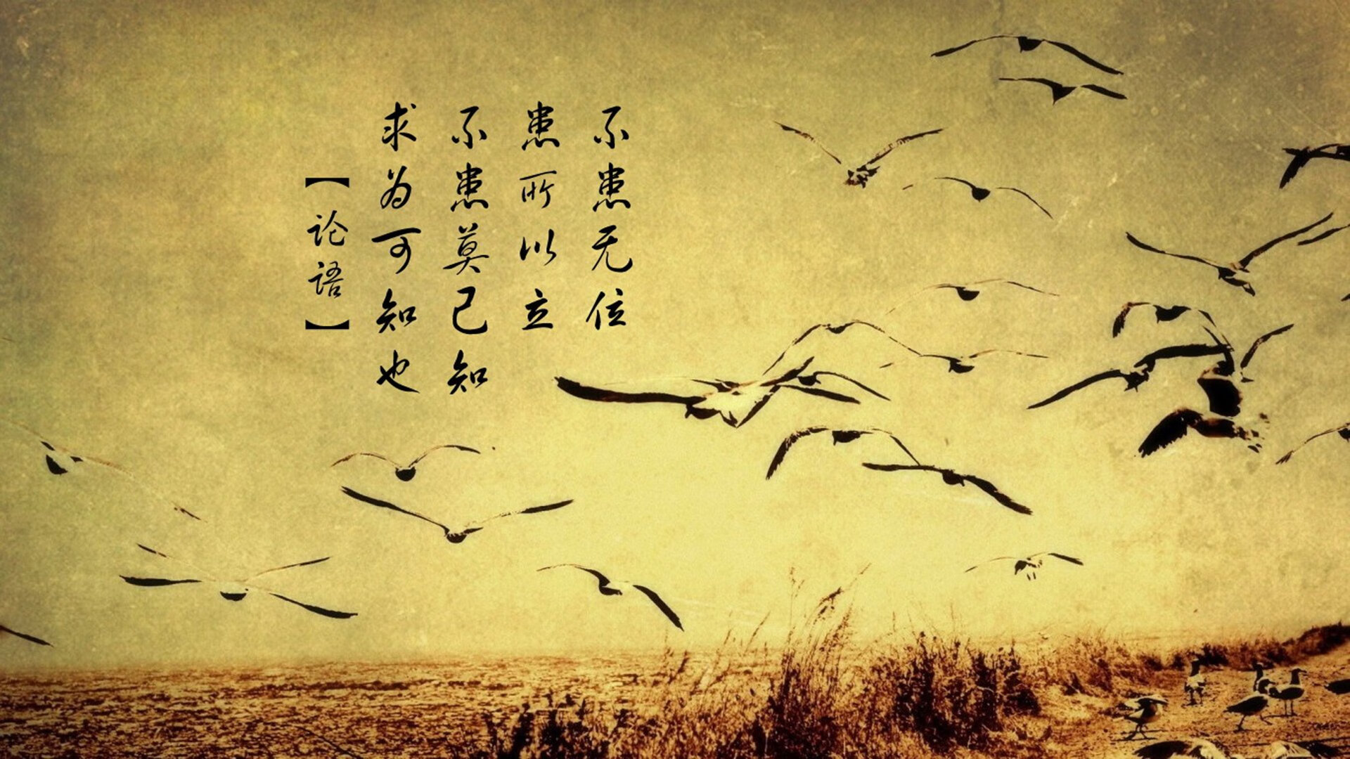 张雨霏新训练器材使用感受积极反馈,张雨霏的训练