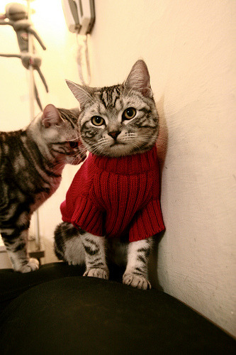 华体会官方网站-科特迪瓦男篮在非洲锦标赛中再获非凡成就，力争更高荣誉，科特迪瓦男足