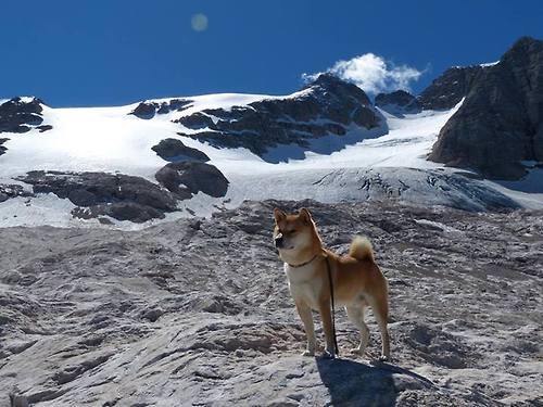 华体会官方网站-英国蝶泳老将普劳德再显锋芒，普劳德游泳